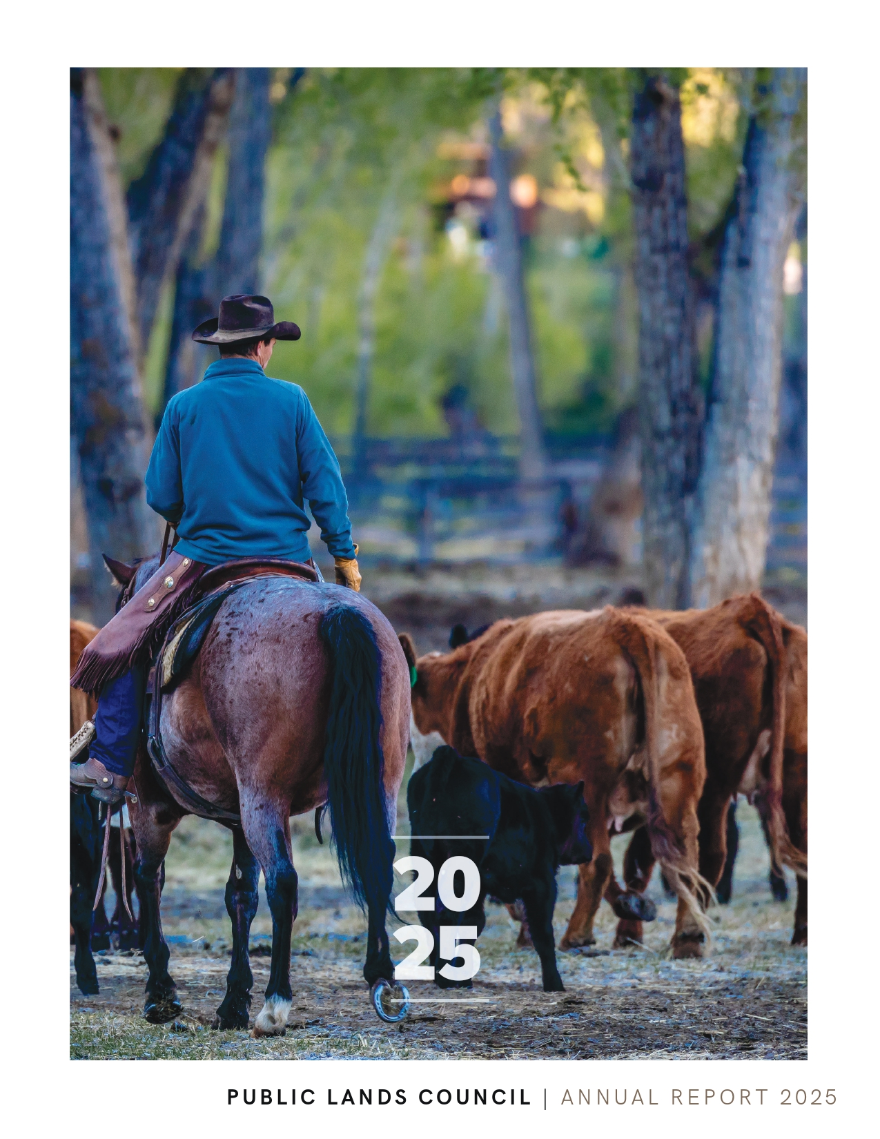 2025 PLC Annual Report