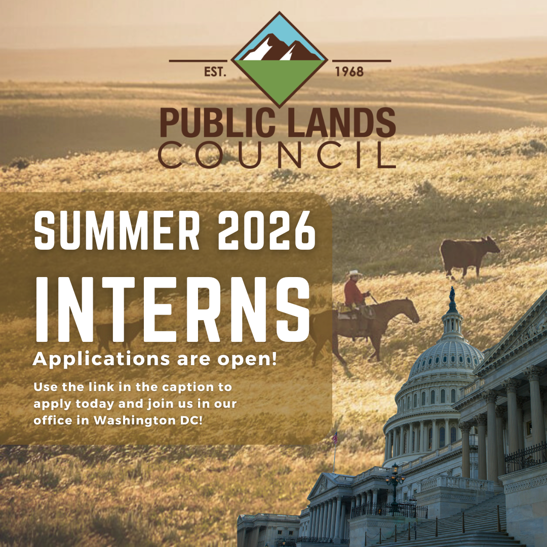 summer-intern-2026